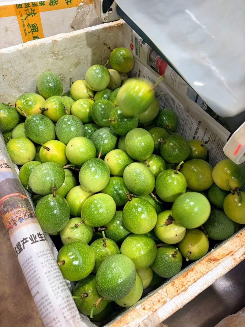 广东湛江百香果大量批发