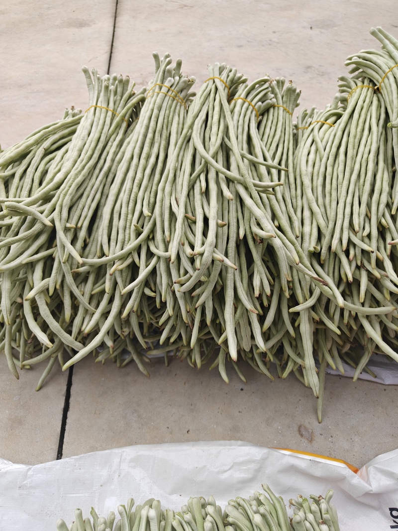 白珠豆