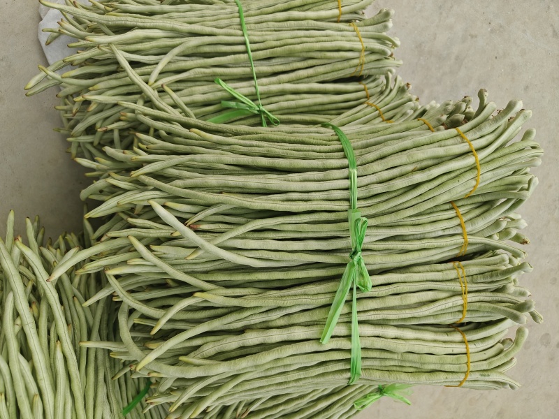 白珠豆