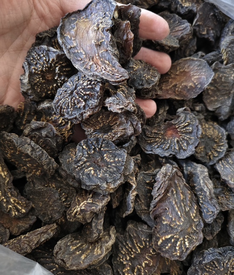 肉苁蓉鲜切片规格齐全量大从优