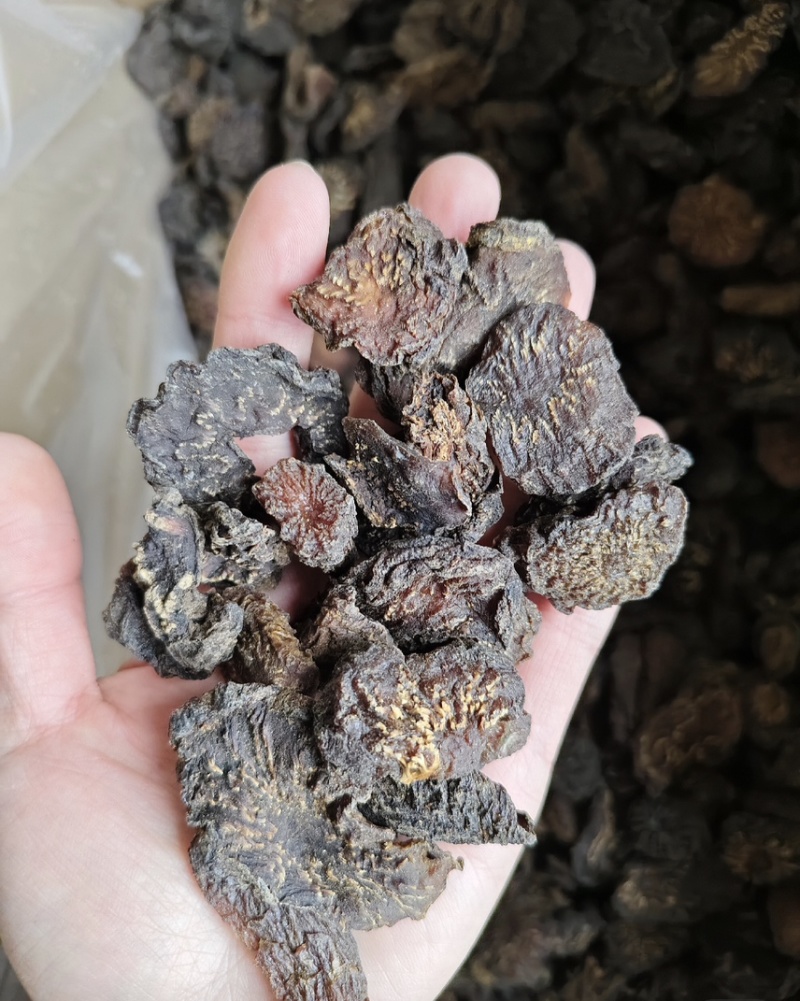 肉苁蓉鲜切片规格齐全量大从优