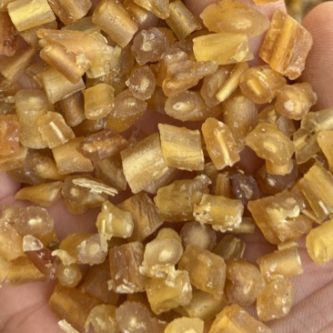 天冬规格齐全量大从优