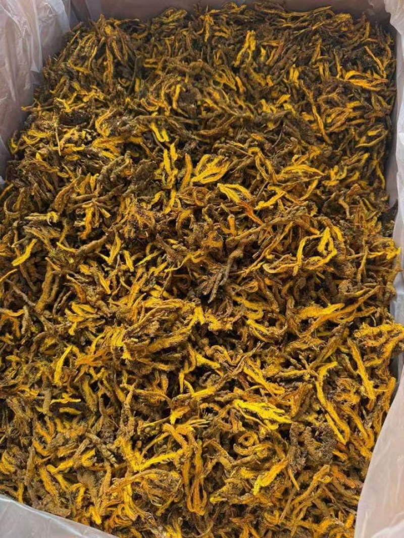 黄连片规格齐全包邮到家