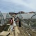 花香蓝莓基地18亩，靠近城区，采摘客源好
