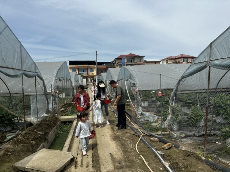 花香蓝莓基地18亩，靠近城区，采摘客源好