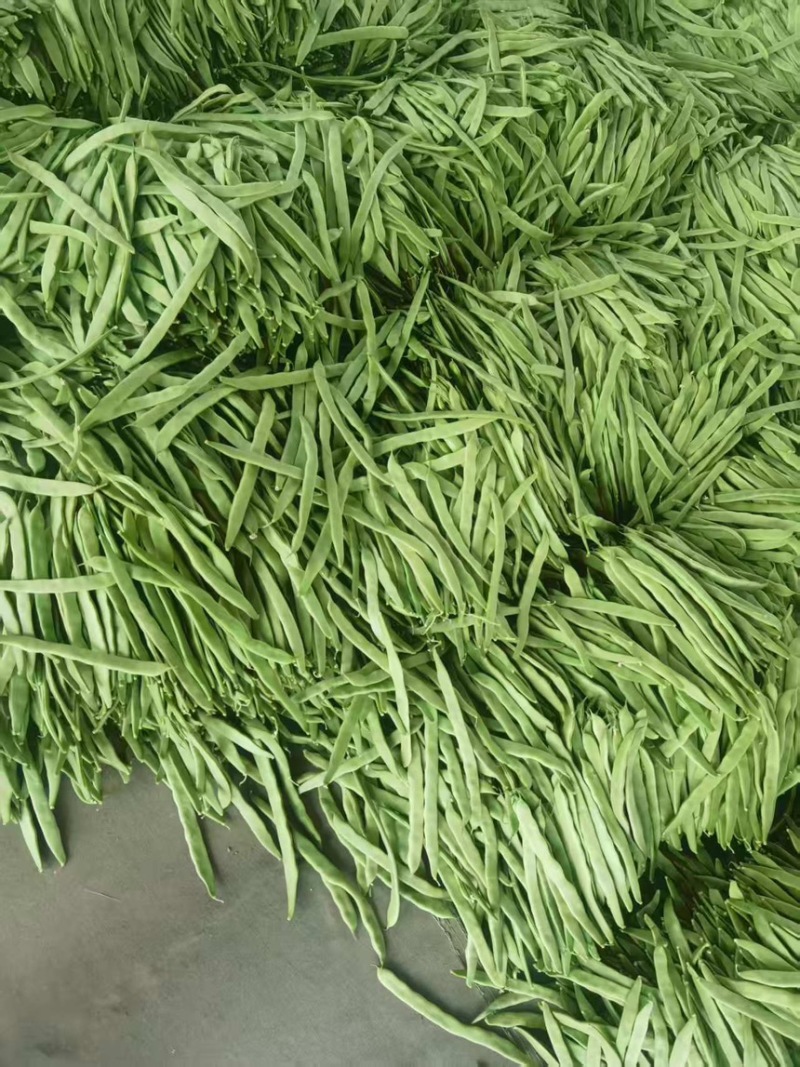 山西豆角白不老小金豆扁豆角规格齐全对接全国市场商超电商