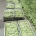 山西豆角白不老小金豆扁豆角规格齐全对接全国市场商超电商