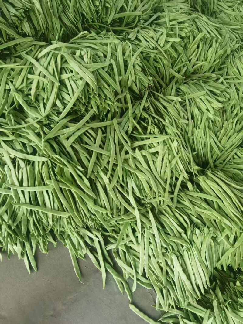 山西豆角白不老小金豆扁豆角规格齐全对接全国市场商超电商