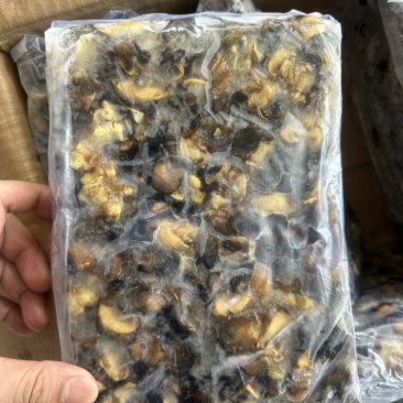 螺肉东风螺肉螺肉200/300活挑螺肉活冻螺肉