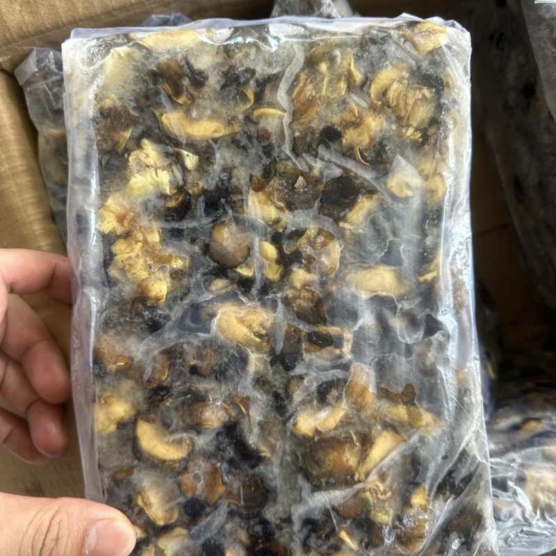 螺肉东风螺肉螺肉200/300活挑螺肉活冻螺肉