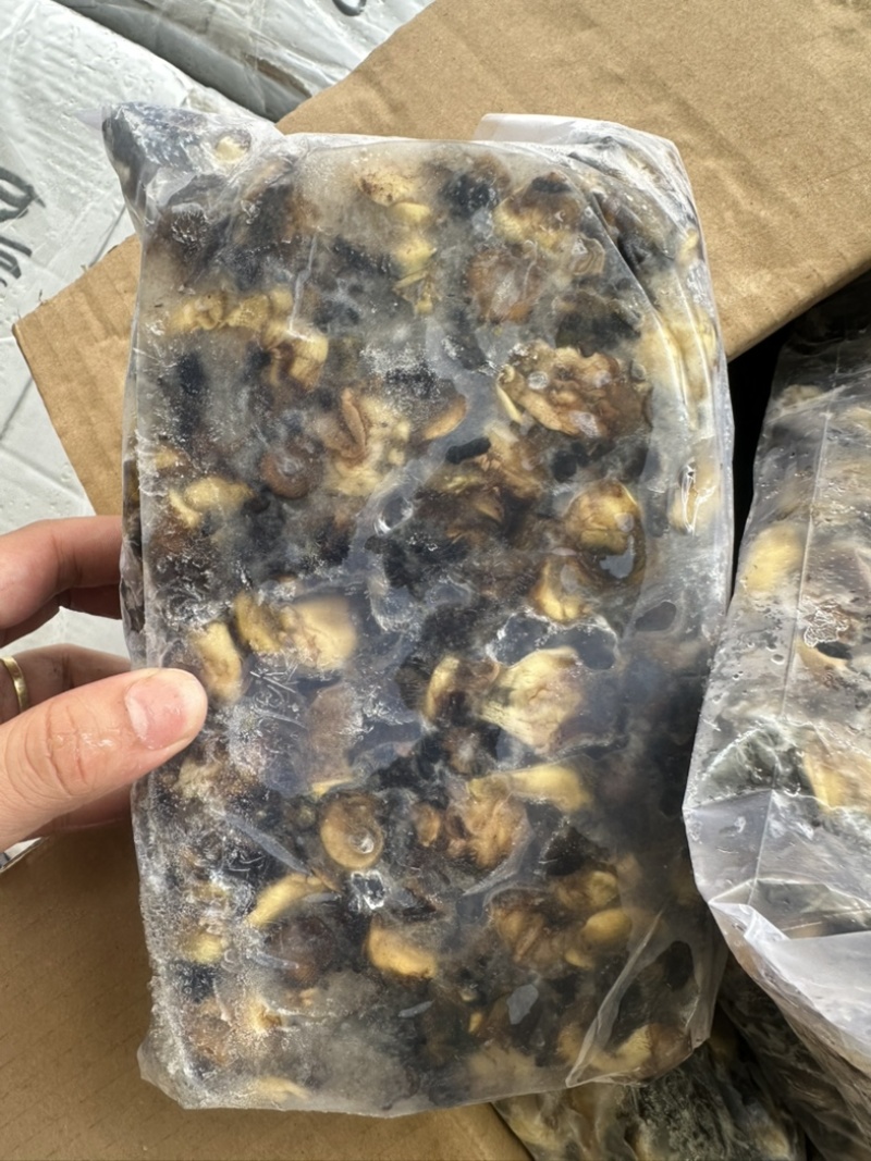 螺肉东风螺肉螺肉200/300活挑螺肉活冻螺肉