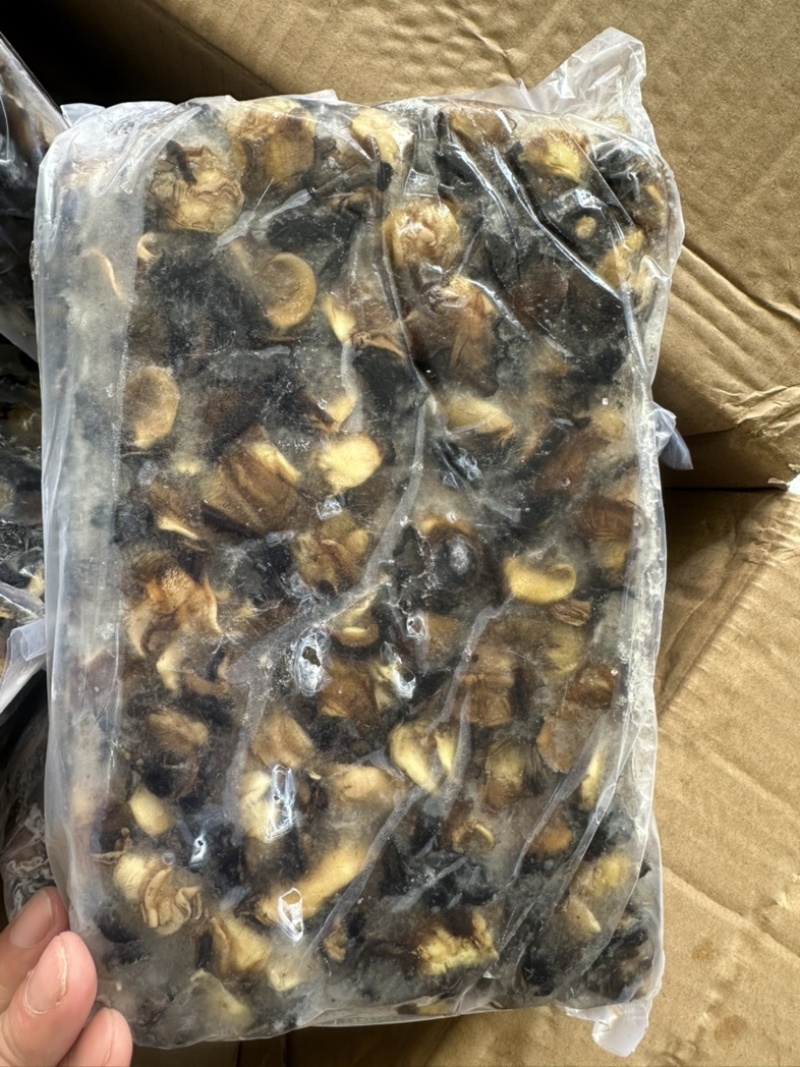 螺肉东风螺肉螺肉200/300活挑螺肉活冻螺肉