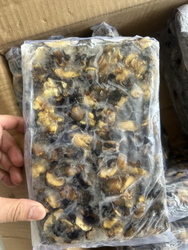 螺肉东风螺肉螺肉200/300活挑螺肉活冻螺肉