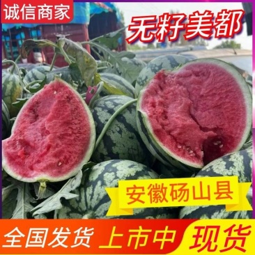 『无籽西瓜』安徽砀山万亩基地直供/包熟包甜/全国发货
