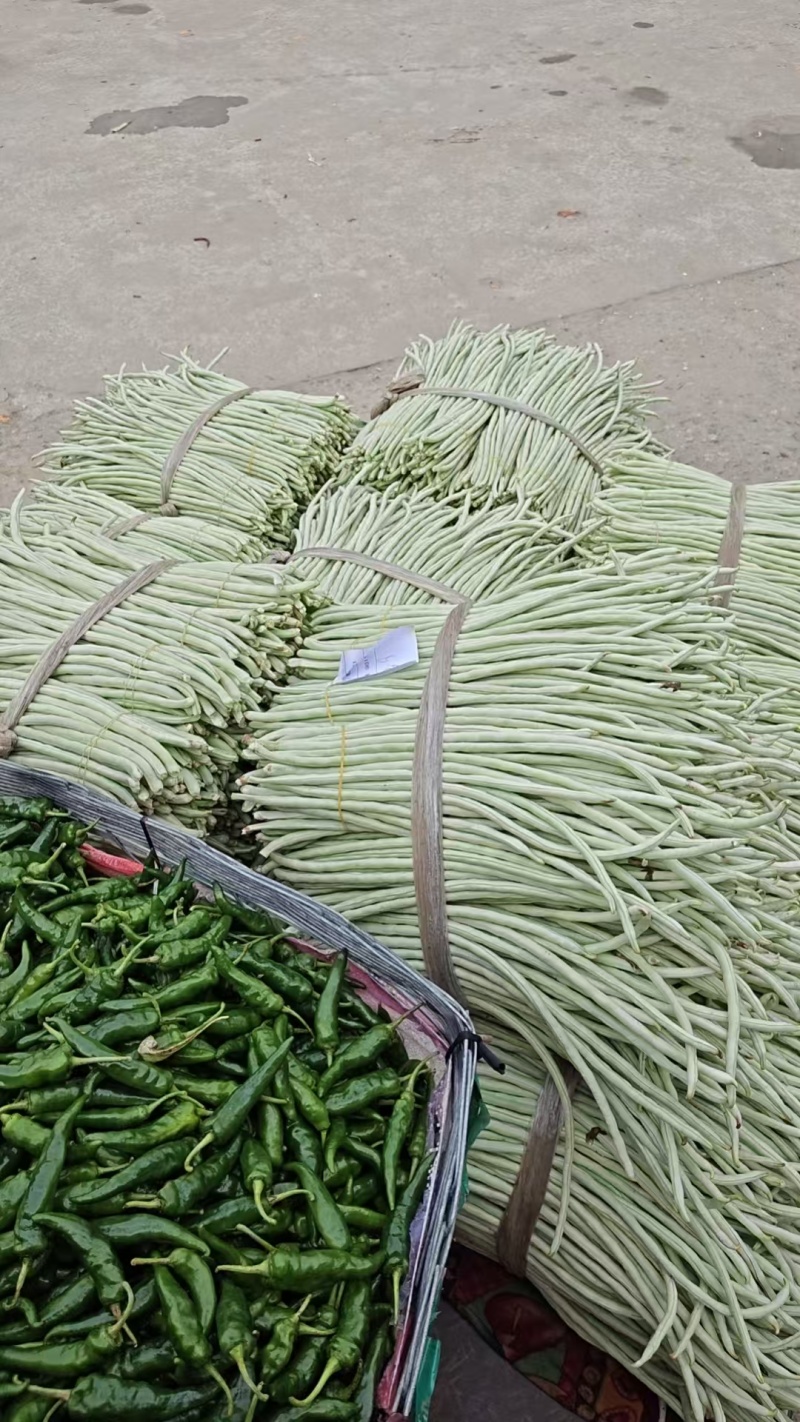 广东惠州豆角代收