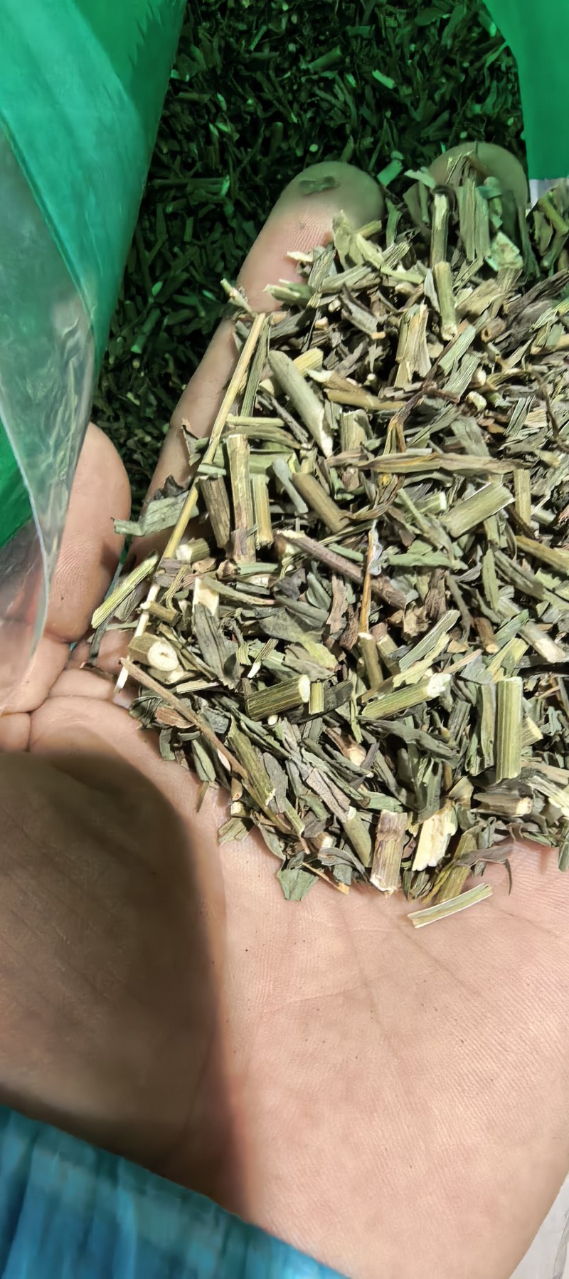 竹叶柴胡