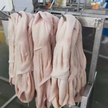羊净肚，纯干货，里外干净，出称高，货源稳定适合多种用途。