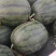 慕田佳宝/黑麒麟/甘蒂一号双红壤砂甜可口糖度高耐运输…