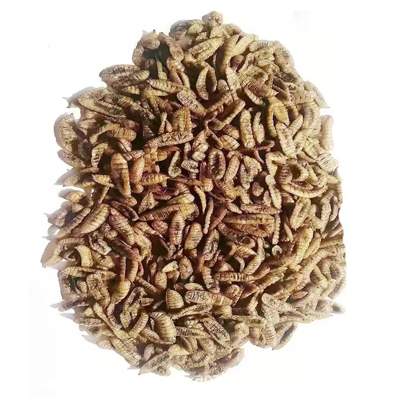 餐厨黑水虻干虫，微波干虫低温干虫水产宠物饲料高蛋白饲料