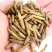 餐厨黑水虻干虫，微波干虫低温干虫水产宠物饲料高蛋白饲料
