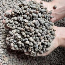生物有机大豆肥