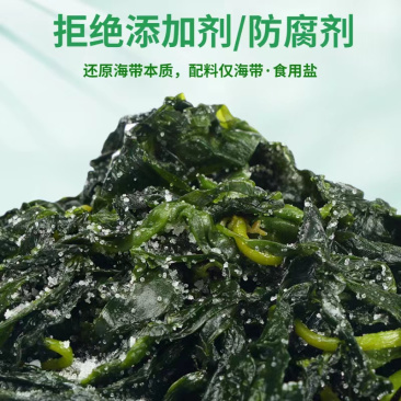 盐渍海带苗