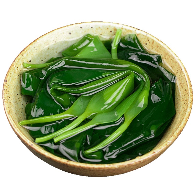 盐渍海带苗