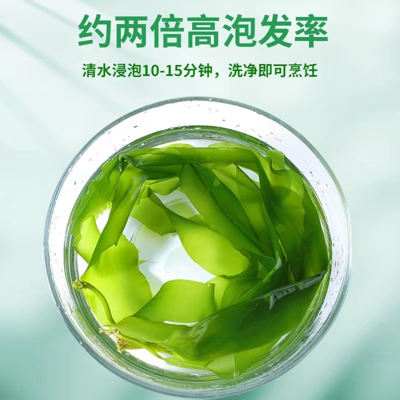 盐渍海带苗