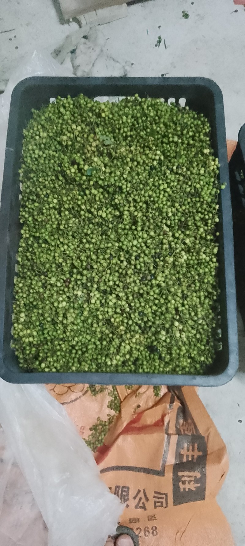 木姜子鲜果开始出货了