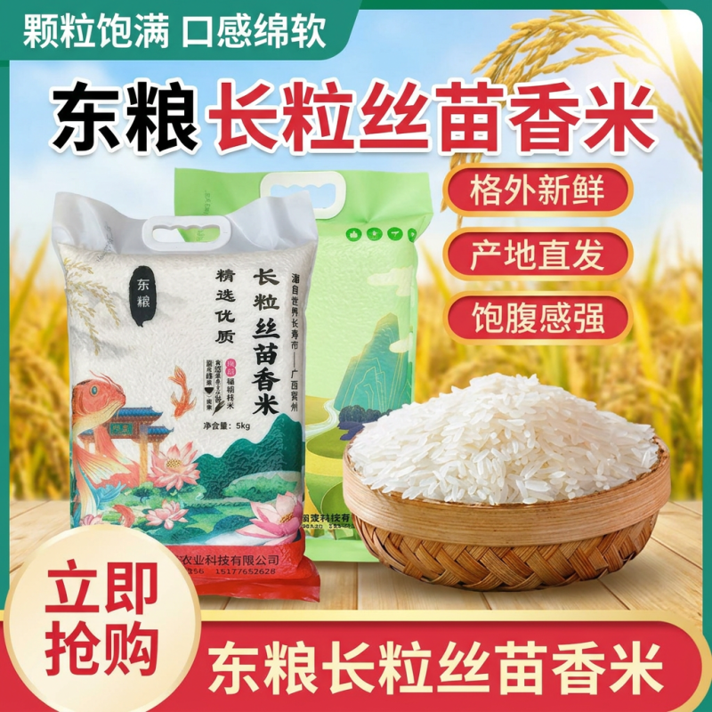 东粮丝苗香米长粒香米10斤香米真空包装