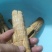 干竹笋，来自高原的产品，每一颗都是精挑细选