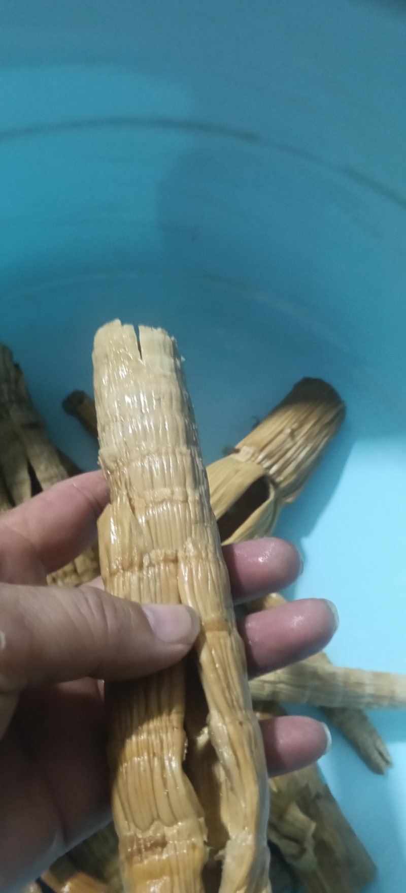 干竹笋，来自高原的产品，每一颗都是精挑细选