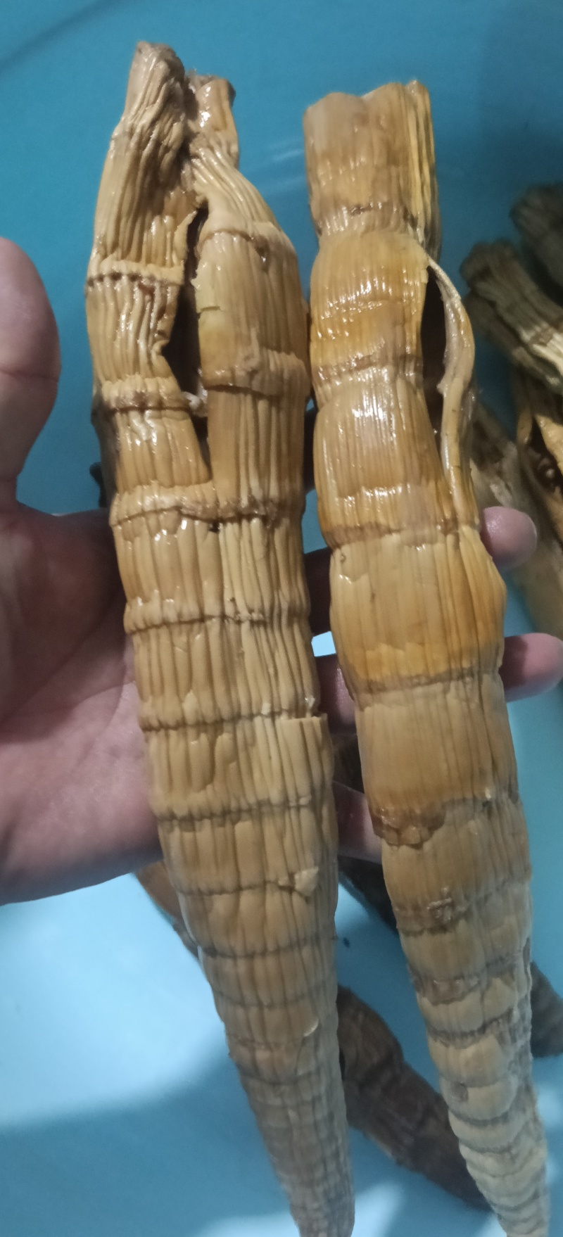 干竹笋，来自高原的产品，每一颗都是精挑细选