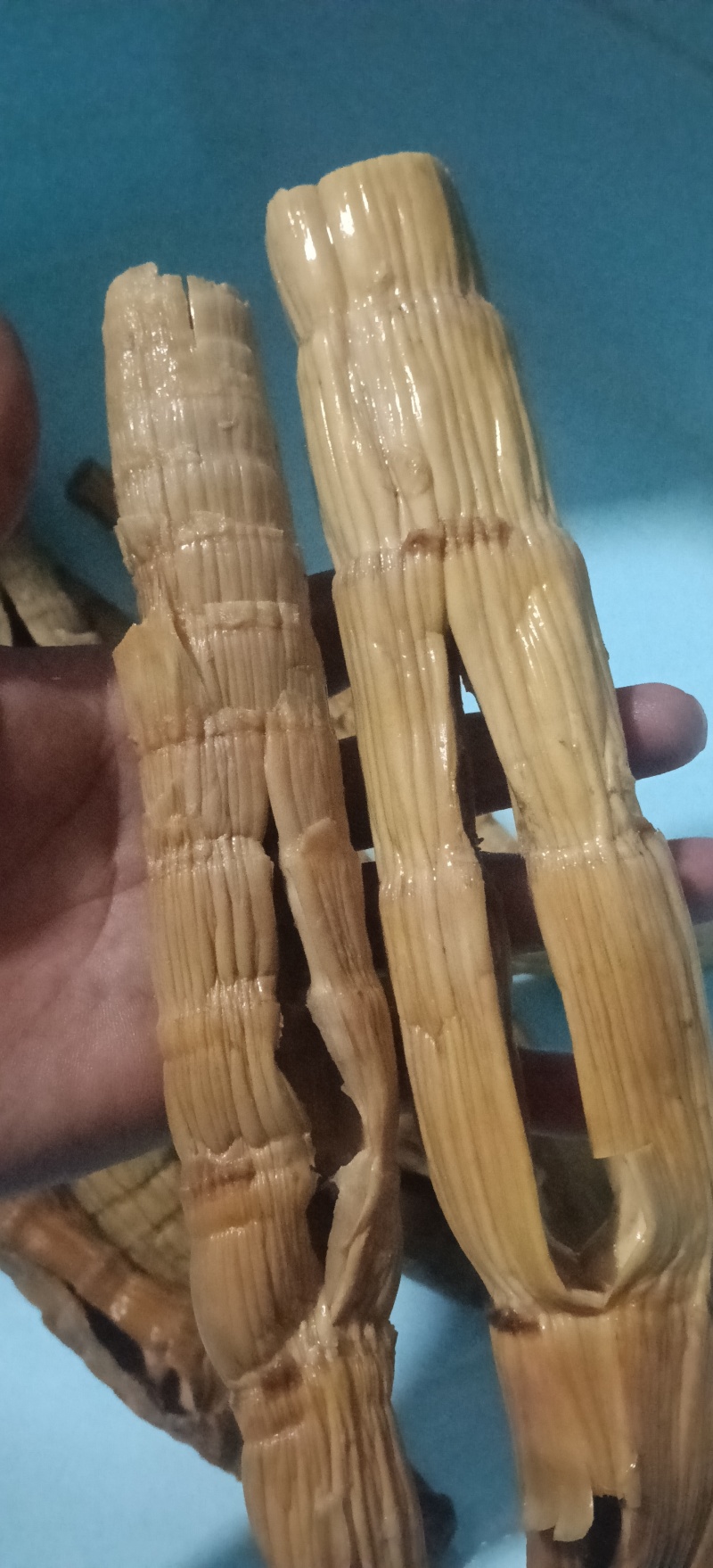 干竹笋，来自高原的产品，每一颗都是精挑细选