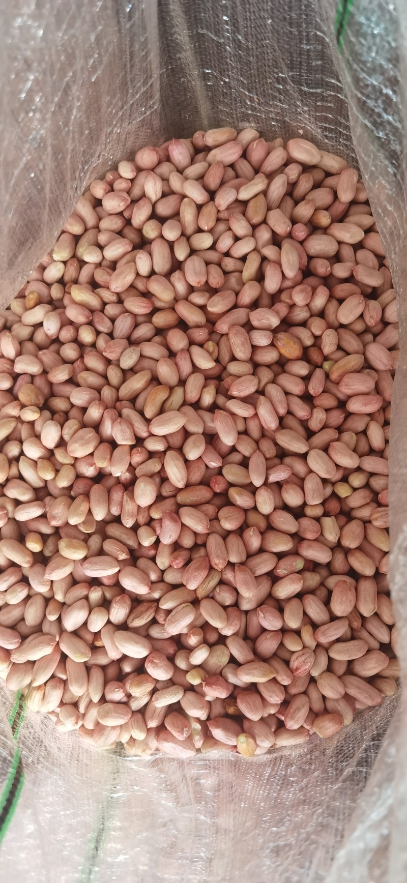 花生米优质花生米商用榨油电商过筛色选鲁花白沙大白沙