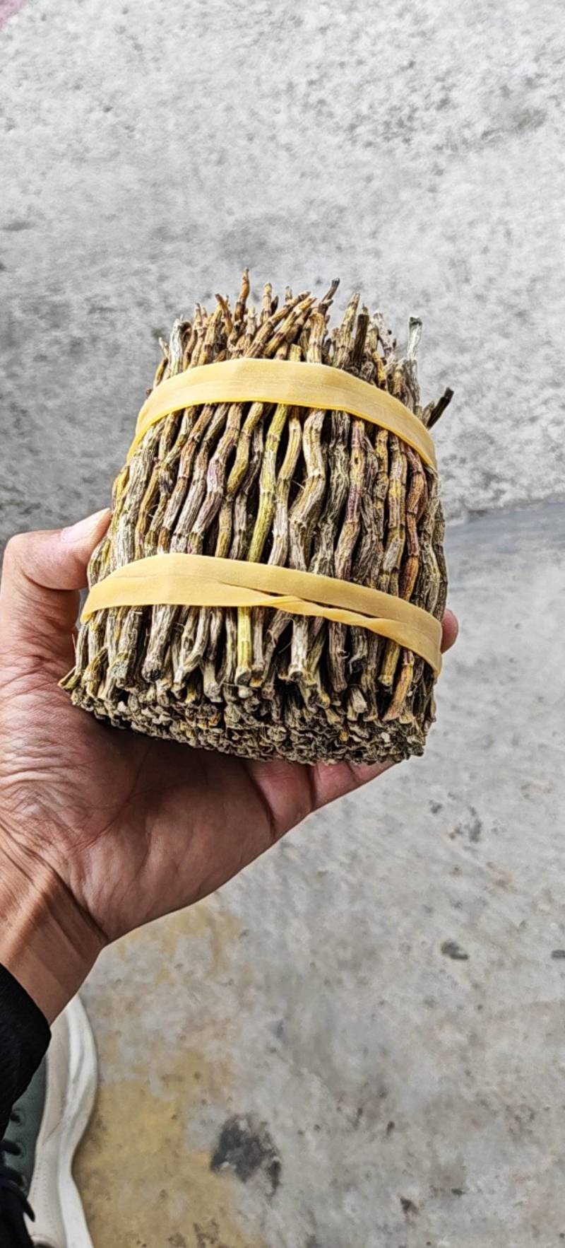 铁皮石斛精品小捆条