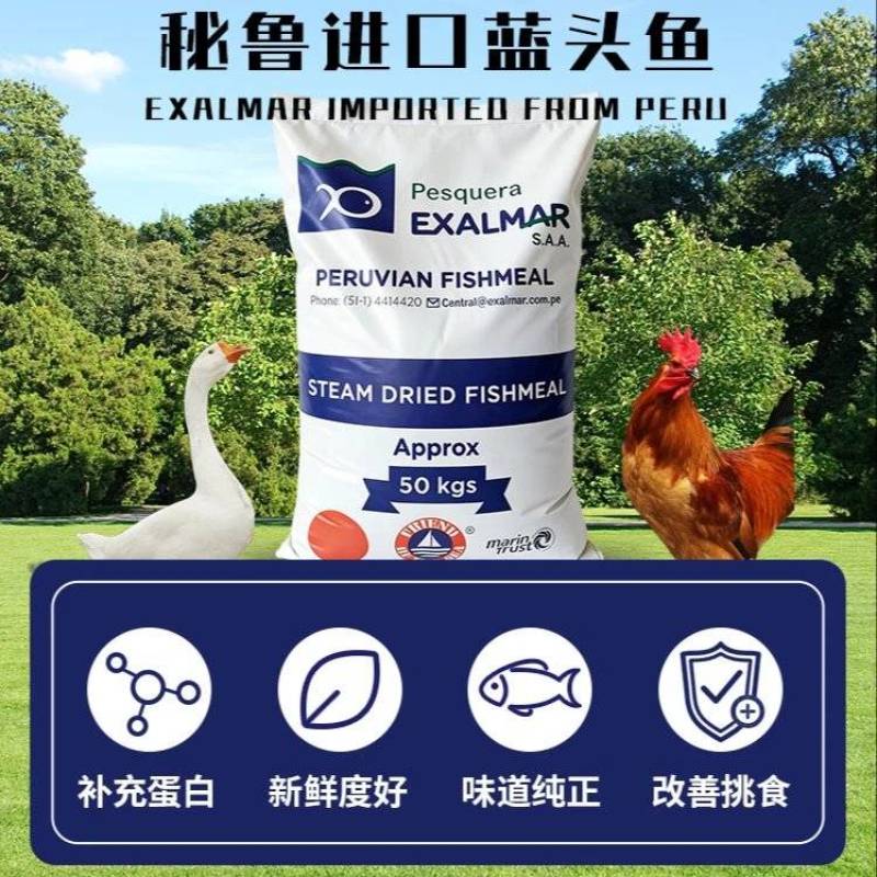 秘鲁蓝头鱼(EXALMAR)蒸汽鱼粉高蛋白进口鱼粉蛋白饲