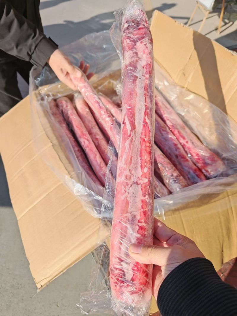 牛鞭宝