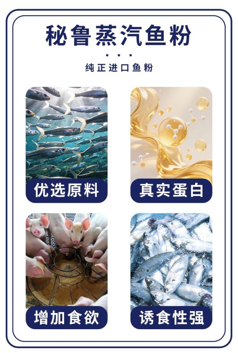秘鲁蓝头鱼(EXALMAR)蒸汽鱼粉高蛋白进口鱼粉蛋白饲