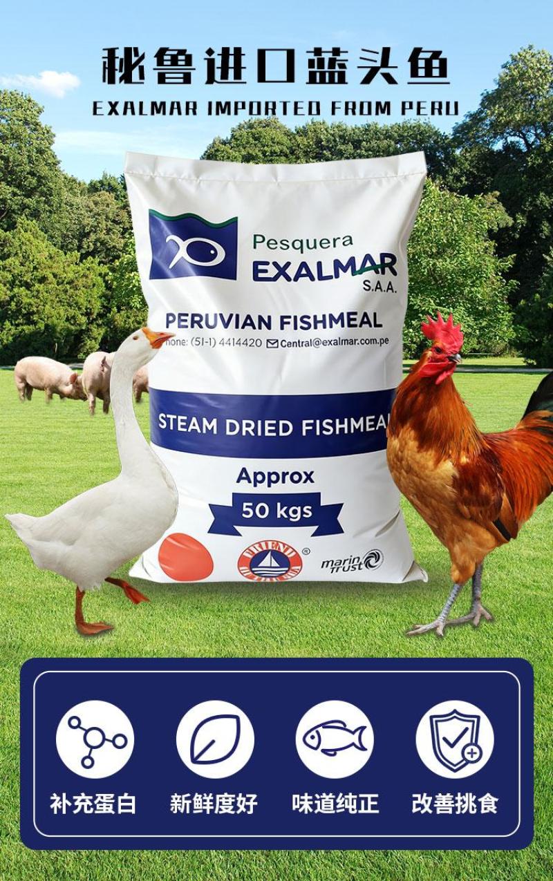 秘鲁蓝头鱼(EXALMAR)蒸汽鱼粉高蛋白进口鱼粉蛋白饲
