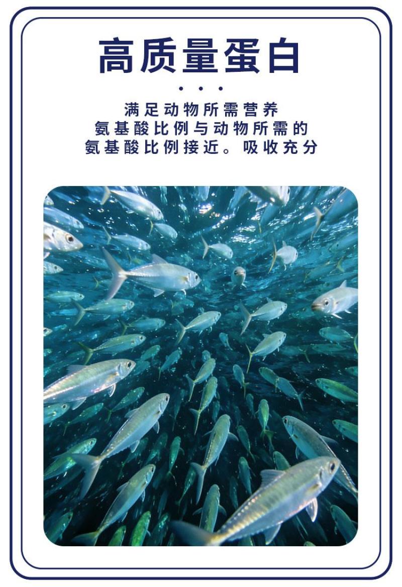 秘鲁蓝头鱼(EXALMAR)蒸汽鱼粉高蛋白进口鱼粉蛋白饲