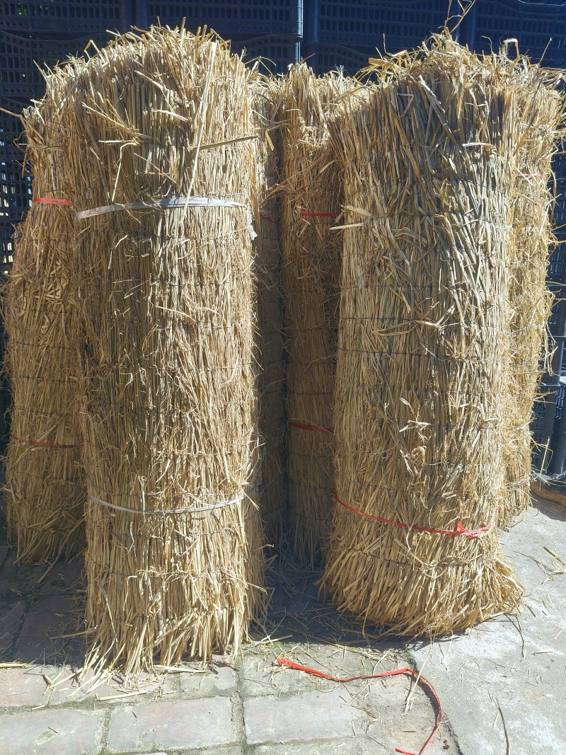草帘子，搭架，三合板