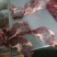 满肉牛脖骨