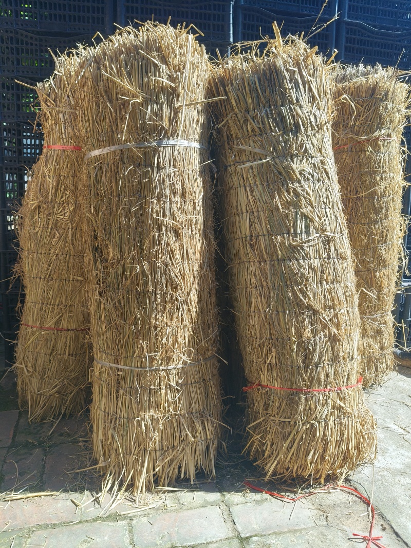 草帘子，搭架，三合板