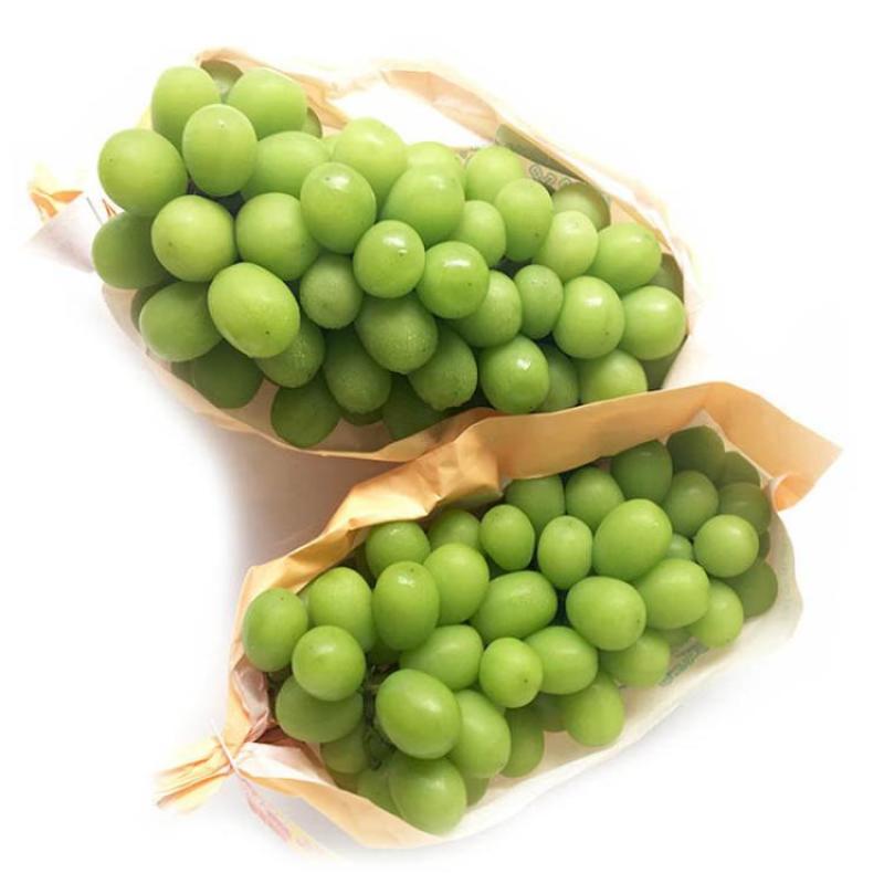 河南夏邑葡萄大量上市，价格非常优惠品质保证