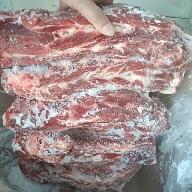 羔羊长脖