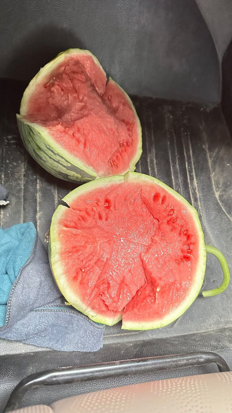 东台麒麟西瓜精品西瓜质量保证物美价廉便宜处理欢迎咨询