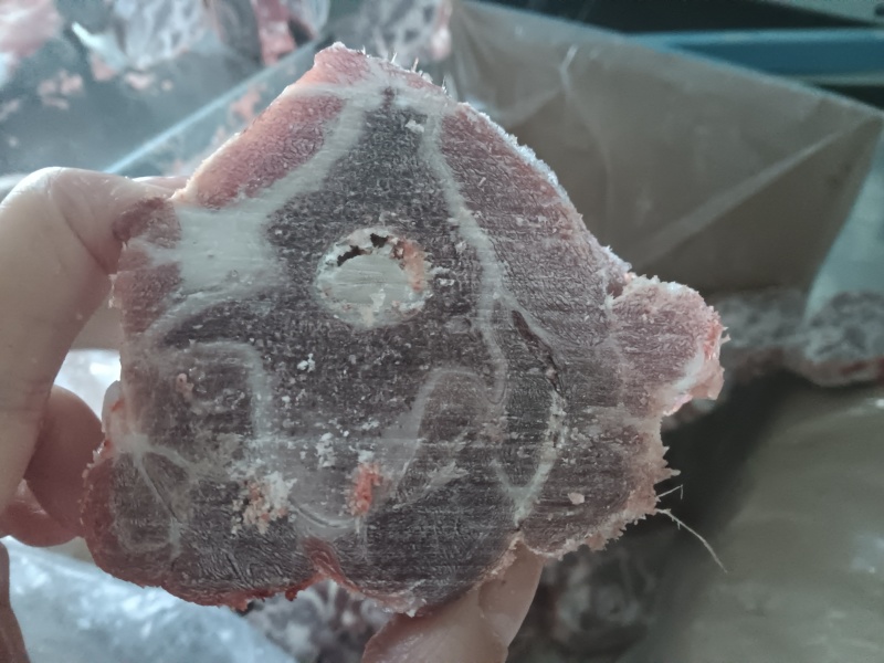 羔羊长脖