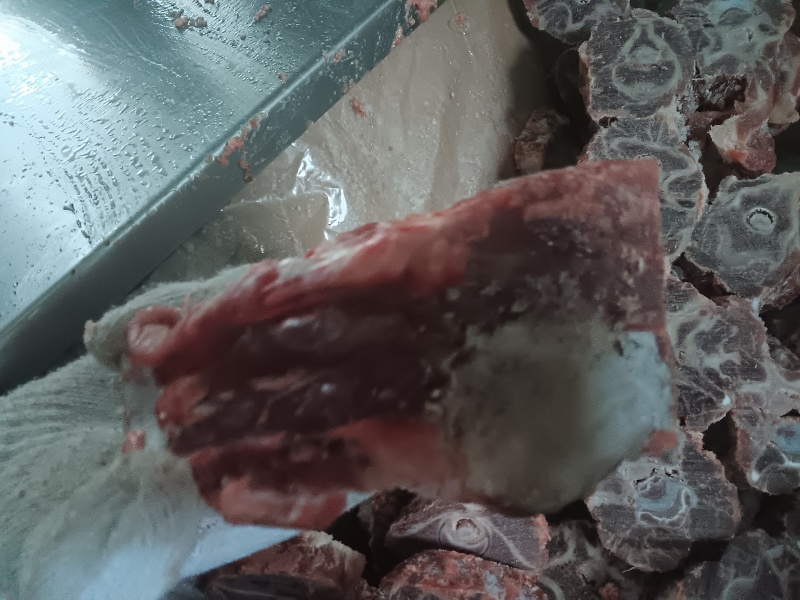 羔羊长脖