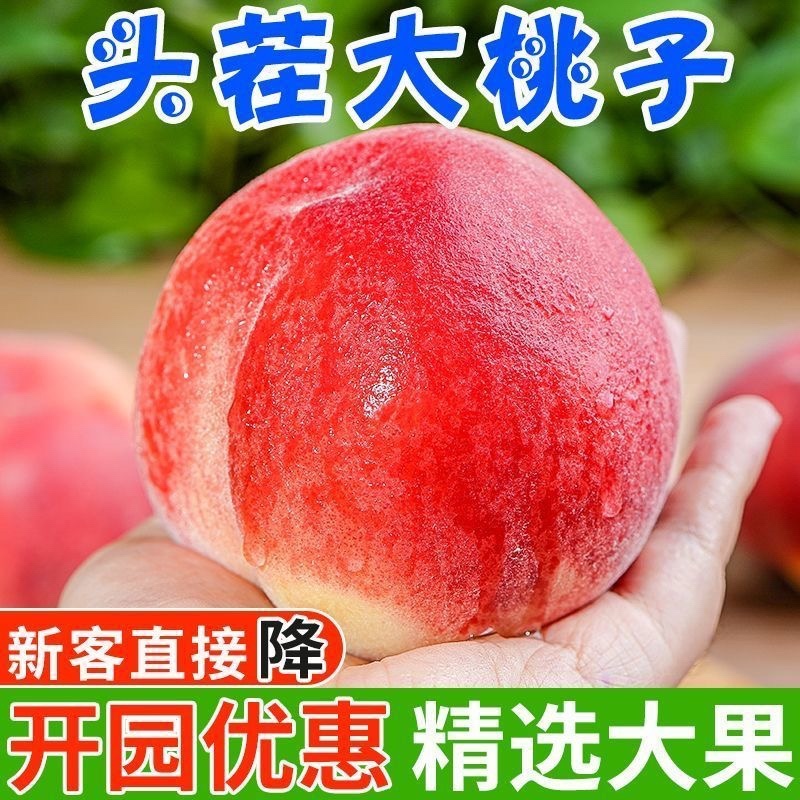 水蜜桃，产地一手现货，量大价优，支持视频看货